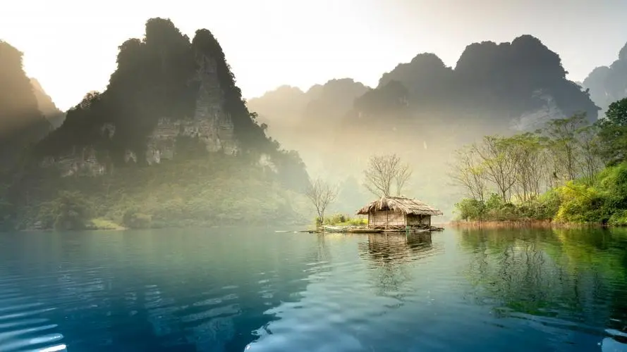 高性能高性能